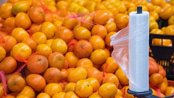    © РИА Новости Крым . Дмитрий Макеев