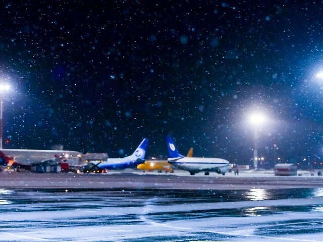    Фото: Москва 24/Лидия Широнина