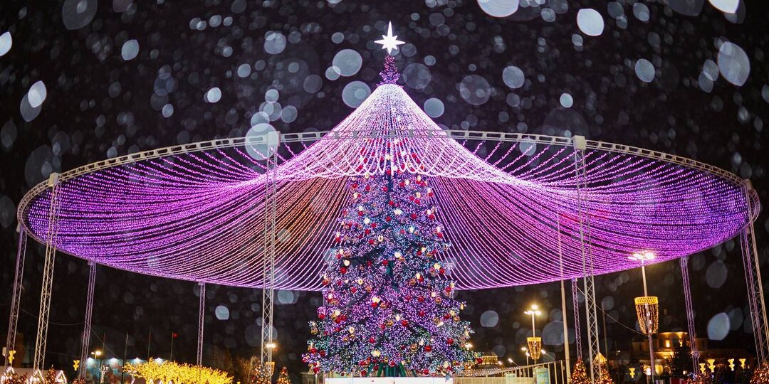 🎄 Голосуйте за Тулу – за самую высокую ёлочку в России