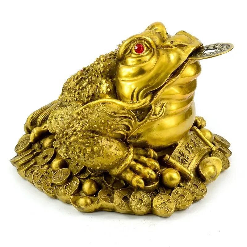 Фото из открытых источников