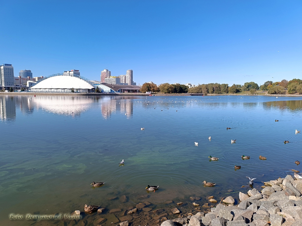 Недалеко от припаркованной машины на ул. Сторожовской.