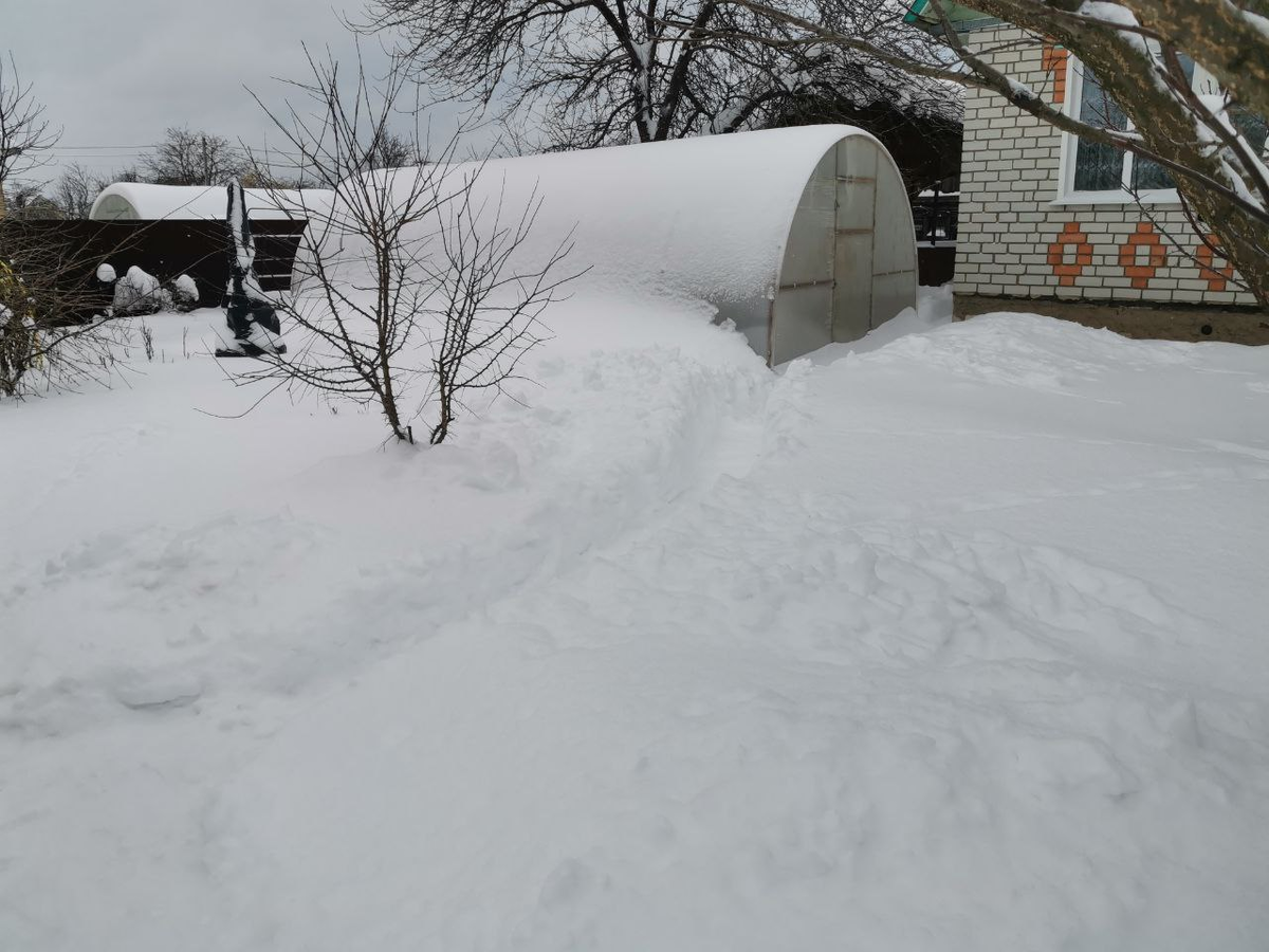 Наш огород в снегу