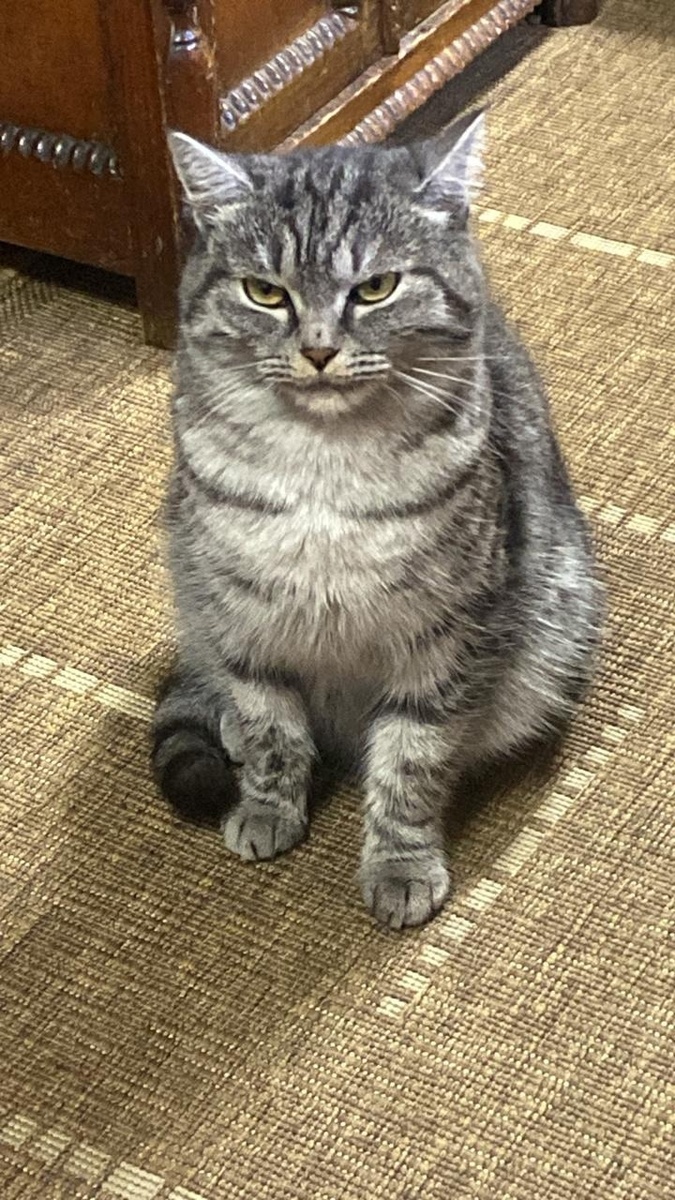 иллюстрация из яндекс картинки.