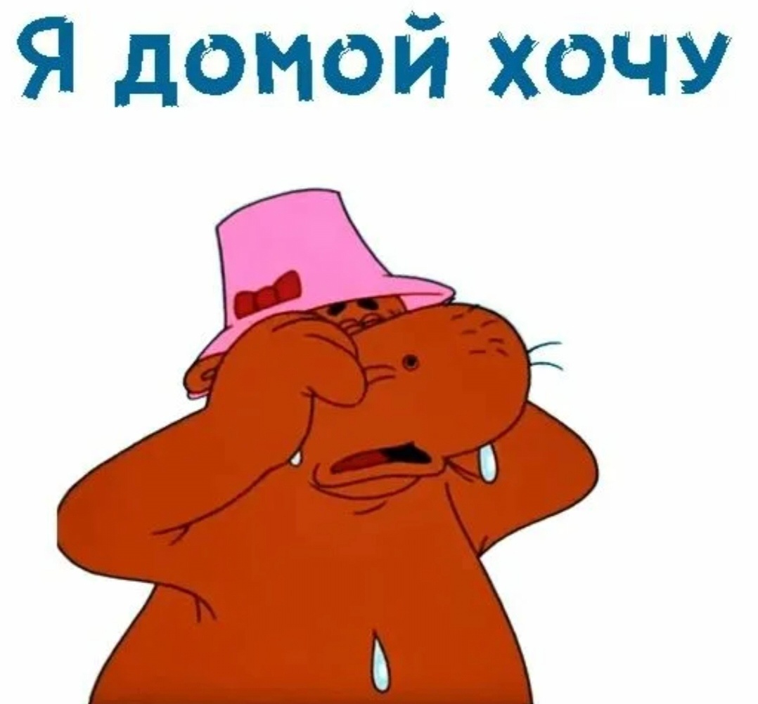 Фото с ресурса: antonia-tex.ru. Длительные встречи уже утомляют, хочется домой😥