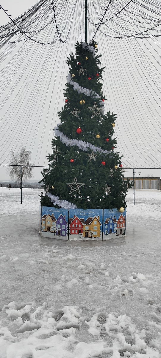 Главная елка Лебедяни