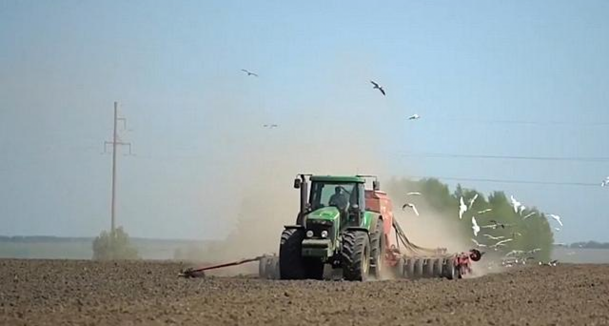    Фото с сайта vz-nn.ru