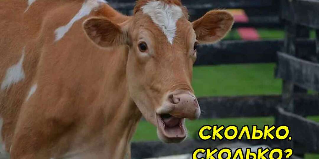 Фермер рассказал сколько в реальности живут домашние животные на подворье