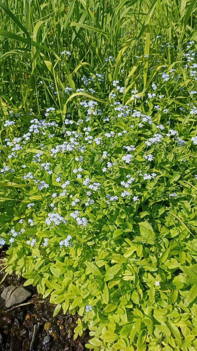 Фото из личного архива автора 