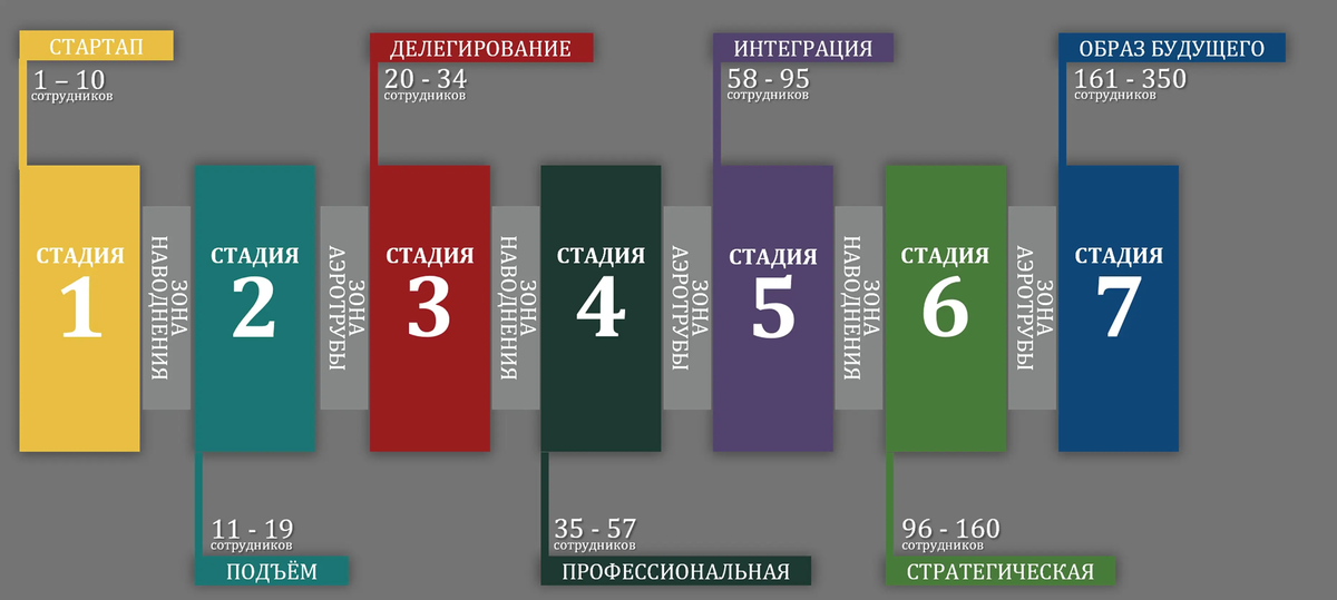 Стадии роста