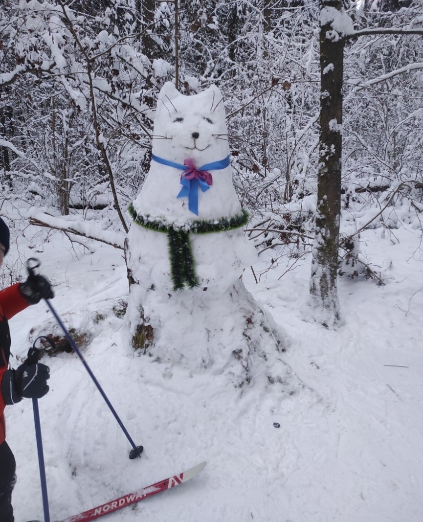 Кот-снеговик в Обнинске