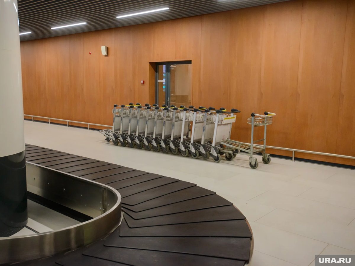     Туристы опасаются, что багаж не попадет в самолет