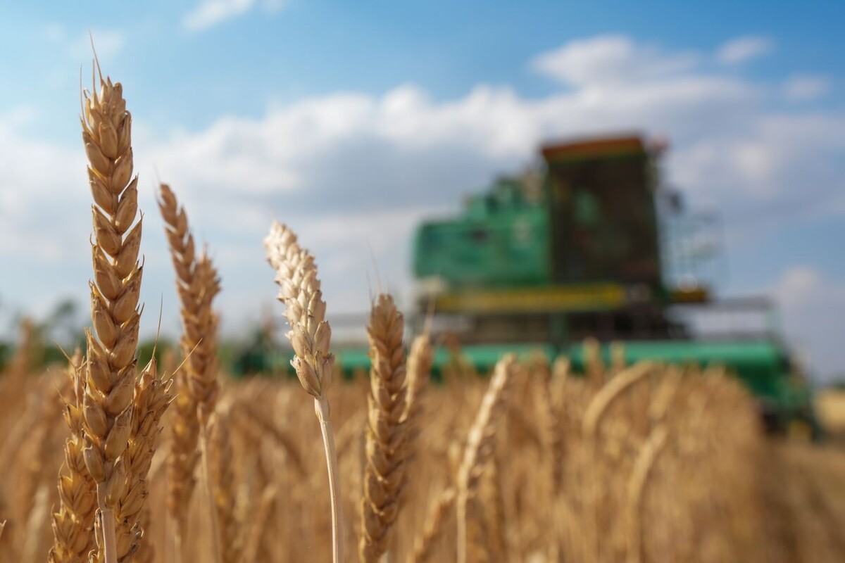     / Источник: © ИЗВЕСТИЯ/Эдуард Корниенко