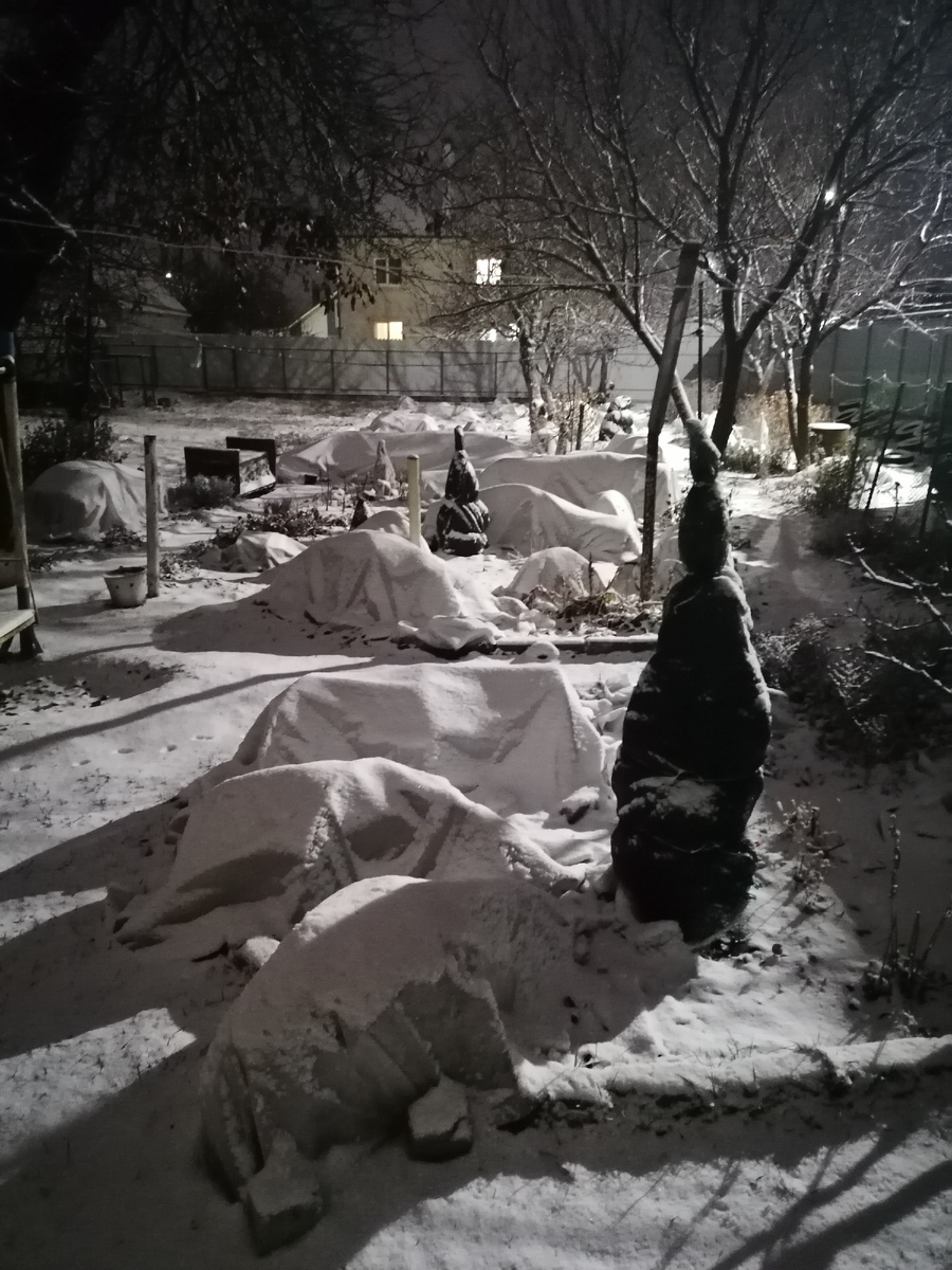 12.12.2024 Фото вечером после снегопада. Люблю первый снег!