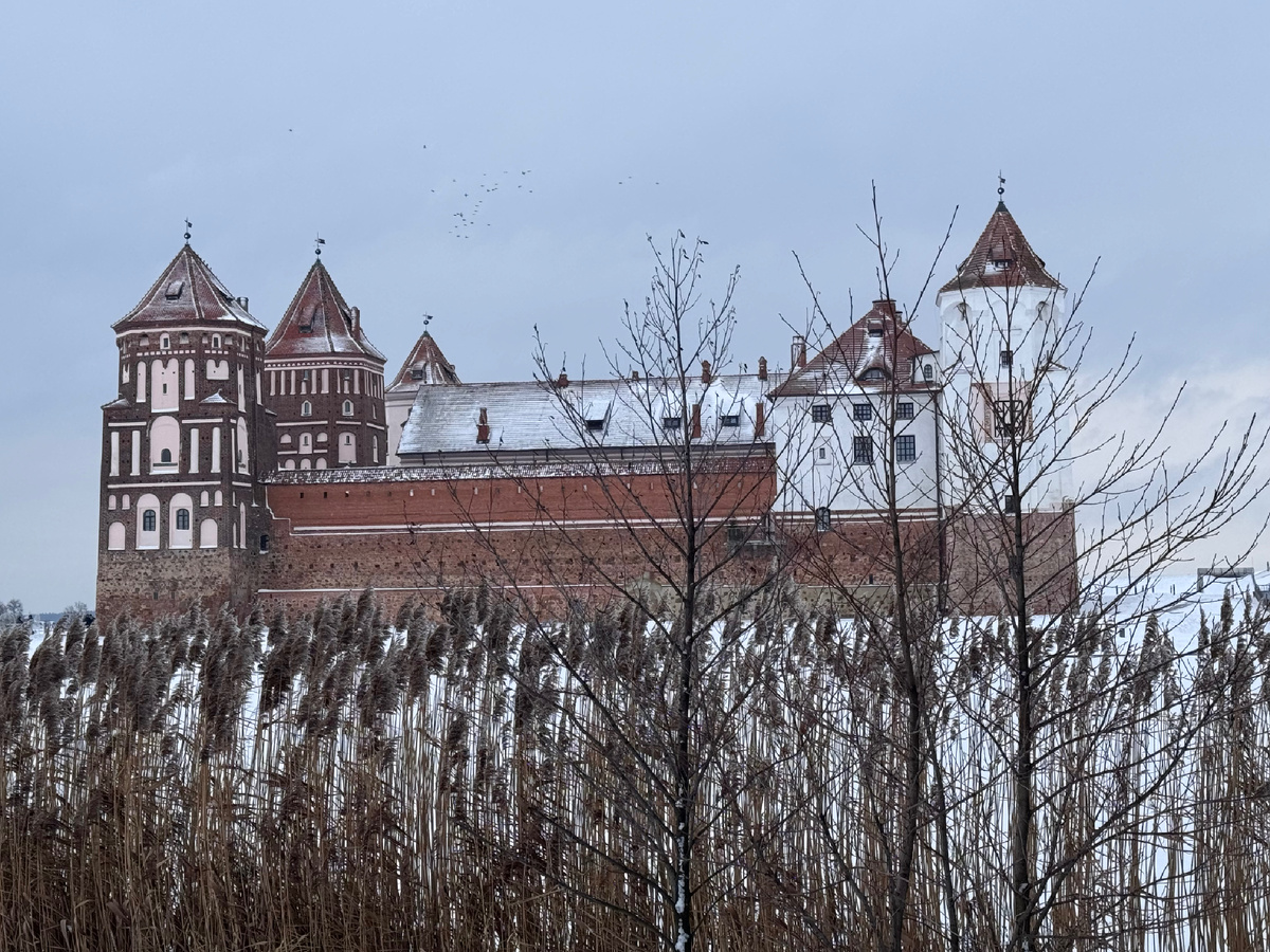 Фото автора. Мирский замок.