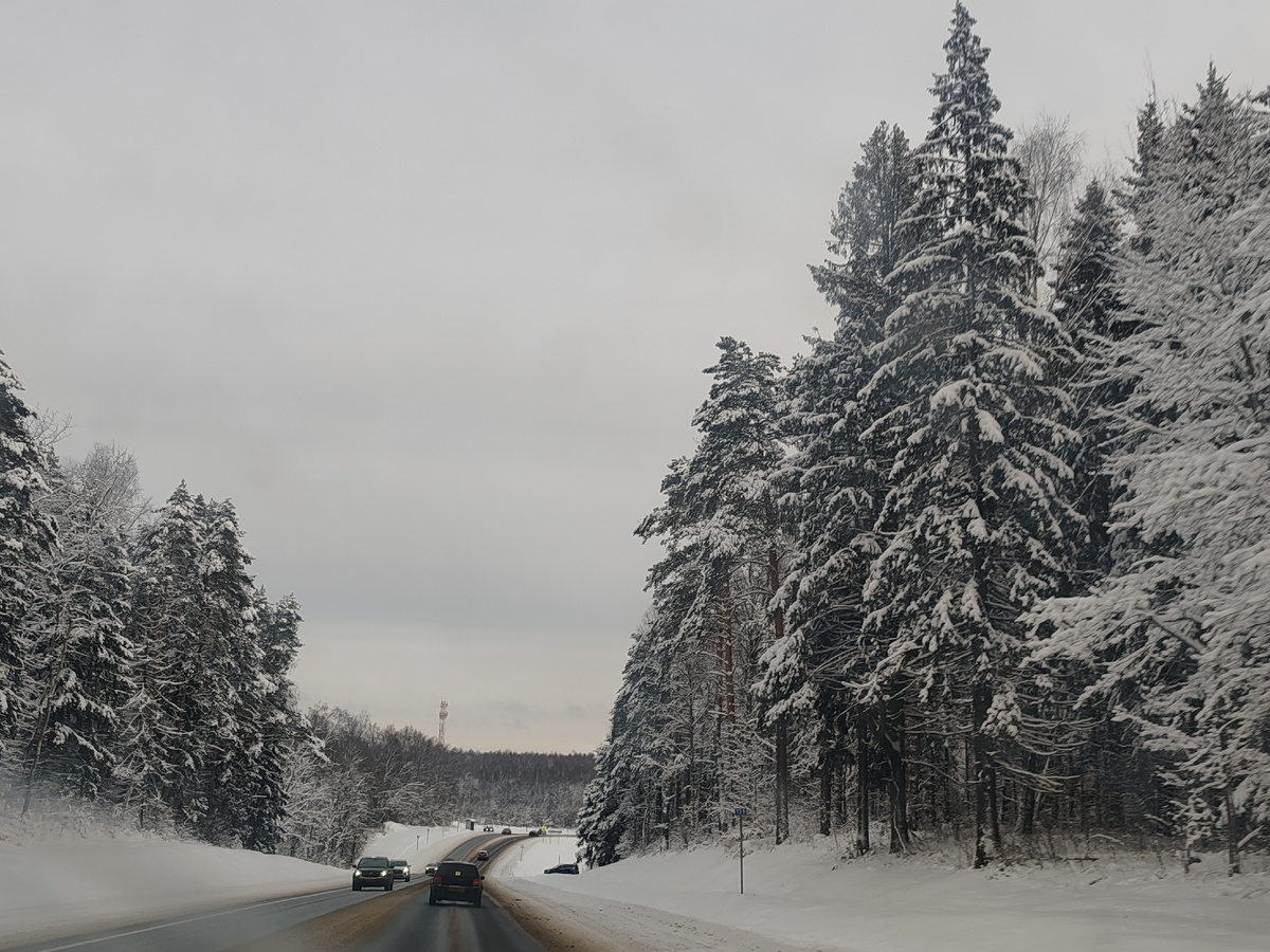 трасса в Ярославской области