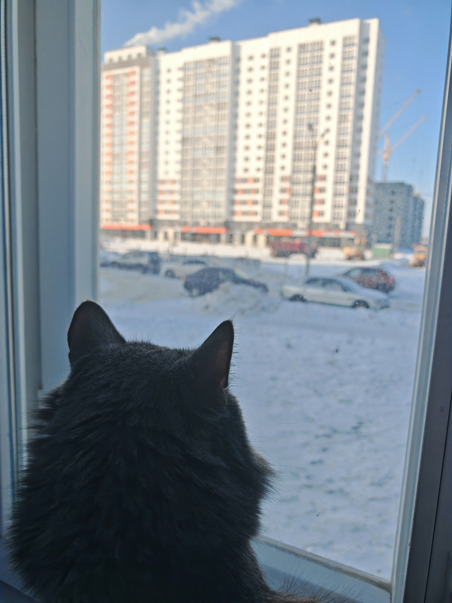 Фото автора канала.