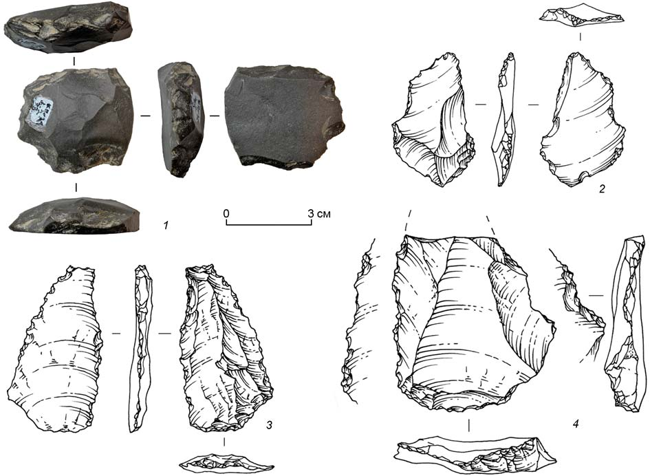 (источник: nplus1.ru)