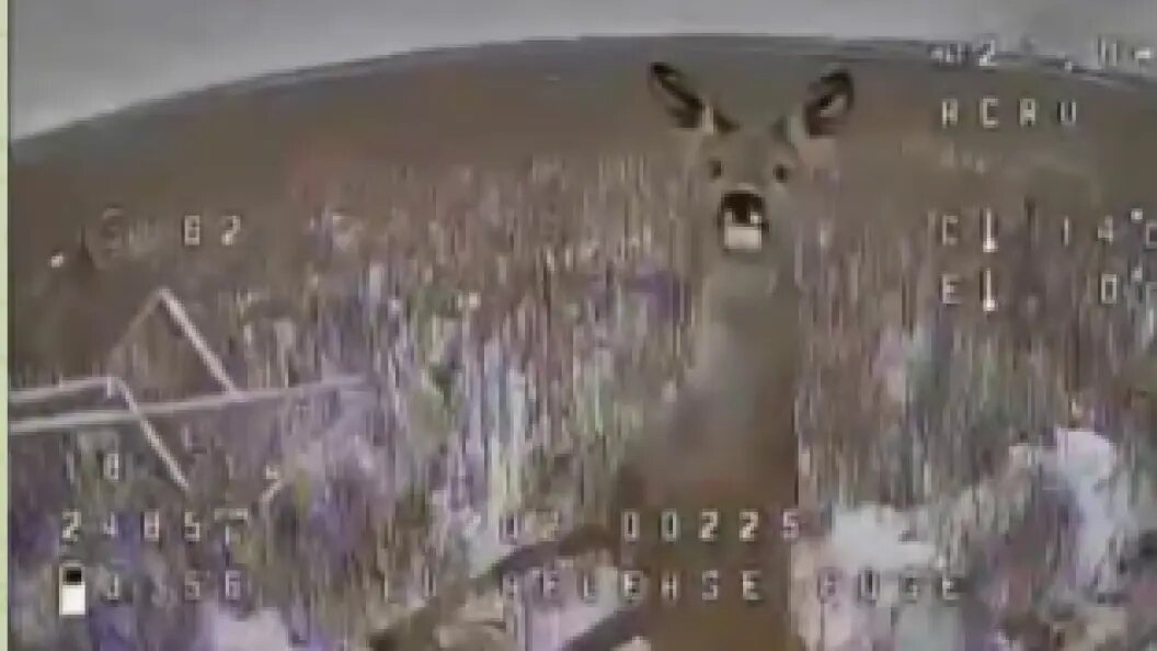    стоп-кадр видео Телеграм-канала "Изнанка"