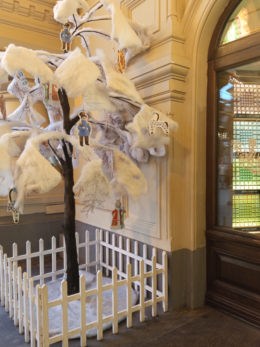 Москва. Декабрь 2025. Фото автора