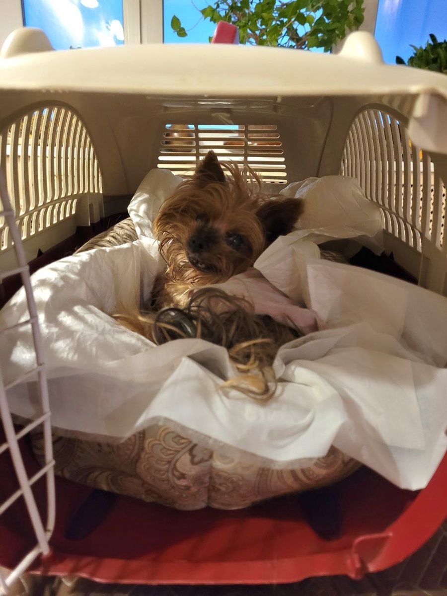 Первые фото