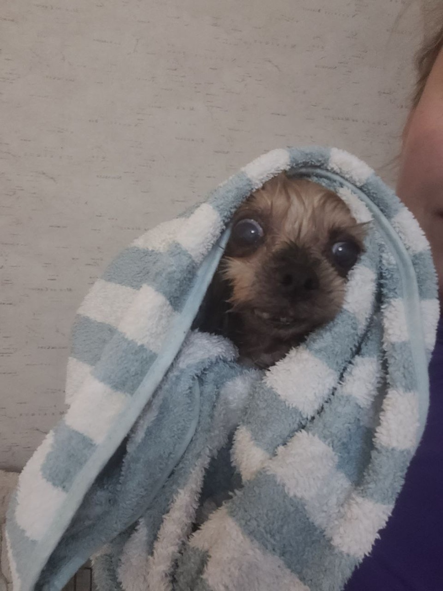 Кто ж тебя там оставил, малышка...