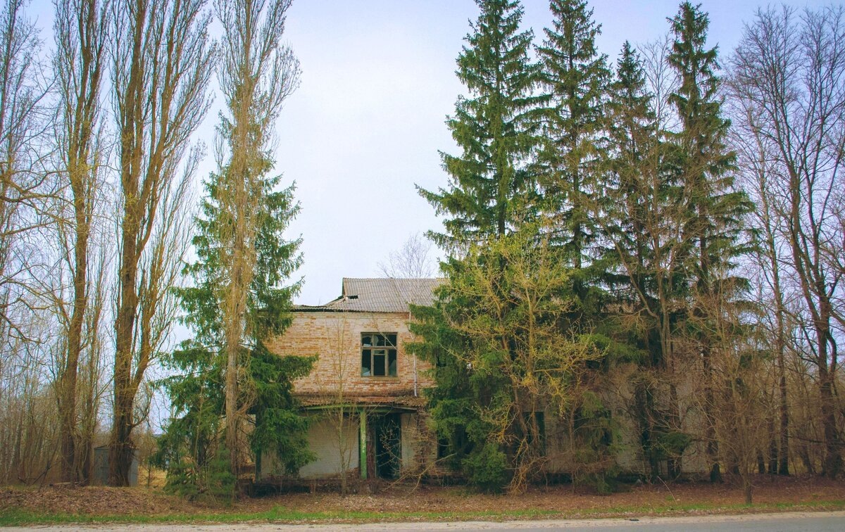 Сельский совет в Копачи