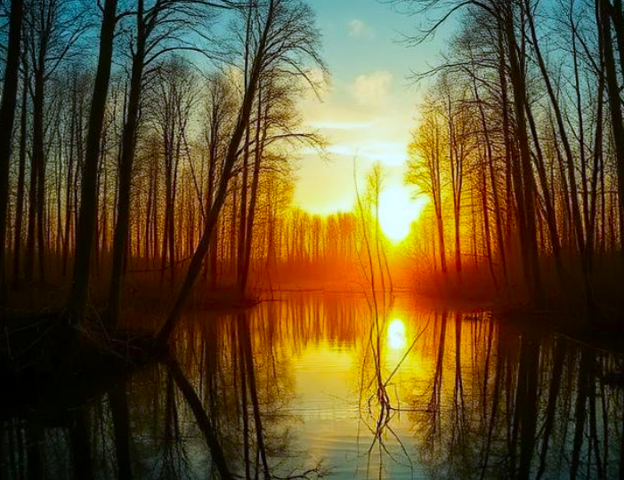 Почему нельзя было трогать болота