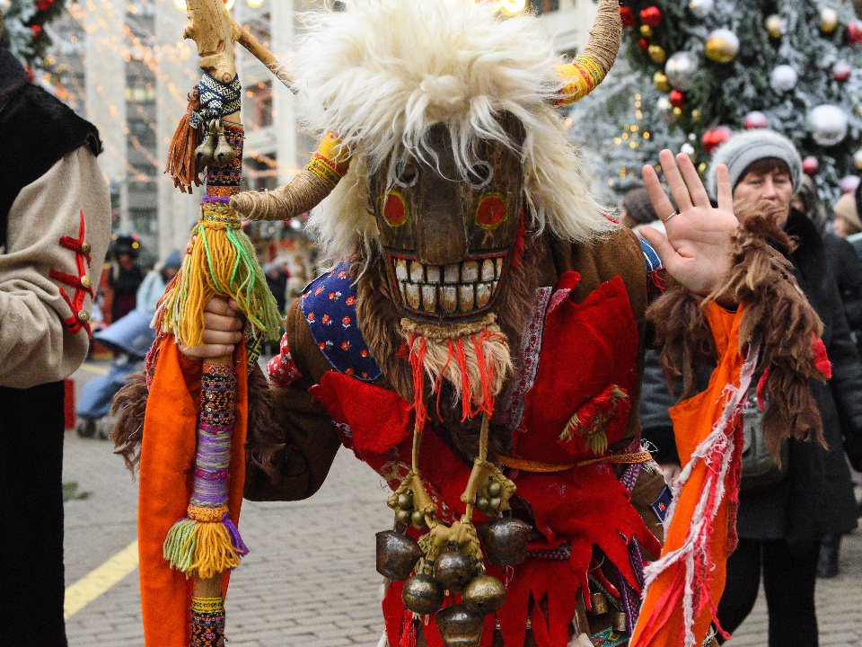    Фото: медиасток.рф