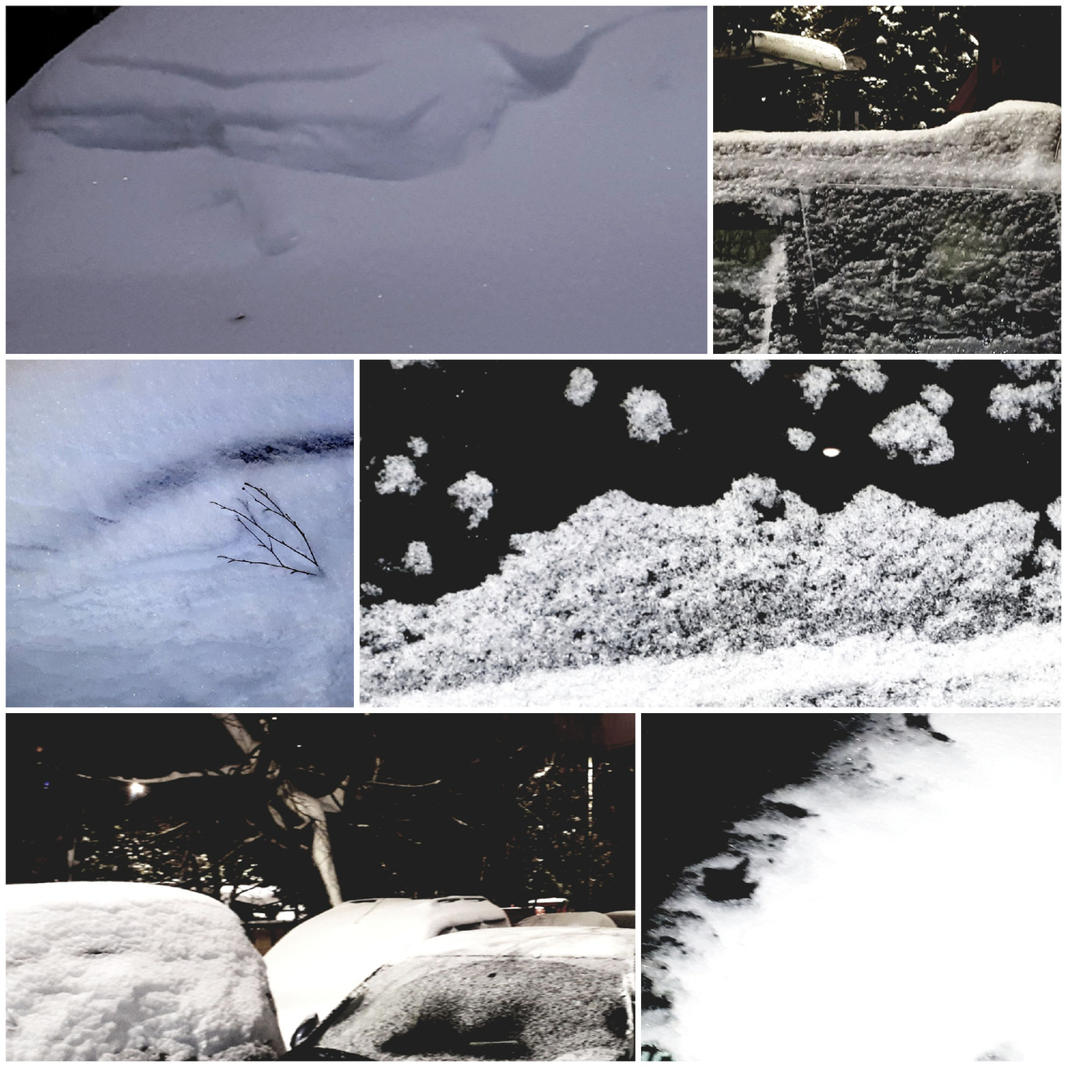 Коллаж автора 10.01.2026г.