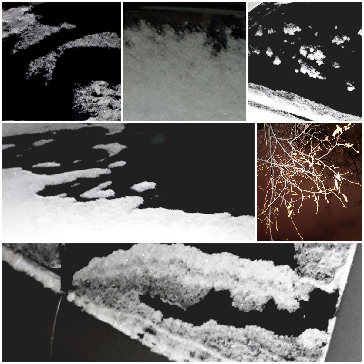 Коллаж автора 10.01.2026г.