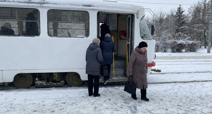    Автор фото - Анна Ефимова