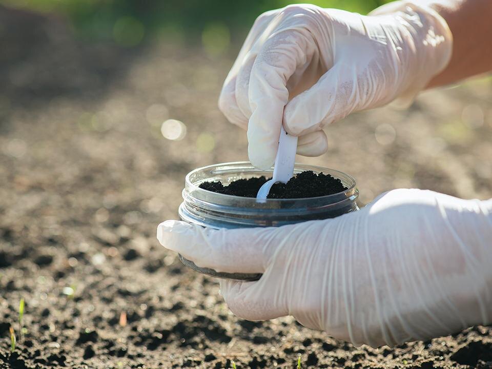    Фото: istockphoto.com/HappyNati