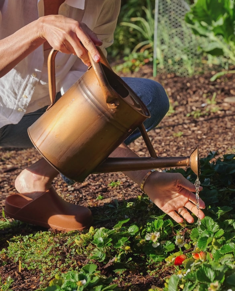 Промышленная и сельскохозяйственная революции сада Меган не затронули - она до сих пор поливает клубнику из лейки