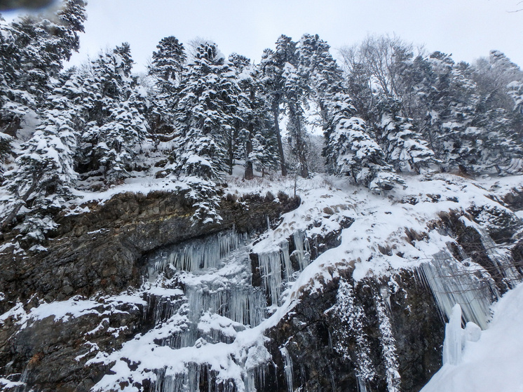     Фото: Aleksander Polyakov/Global Look Press