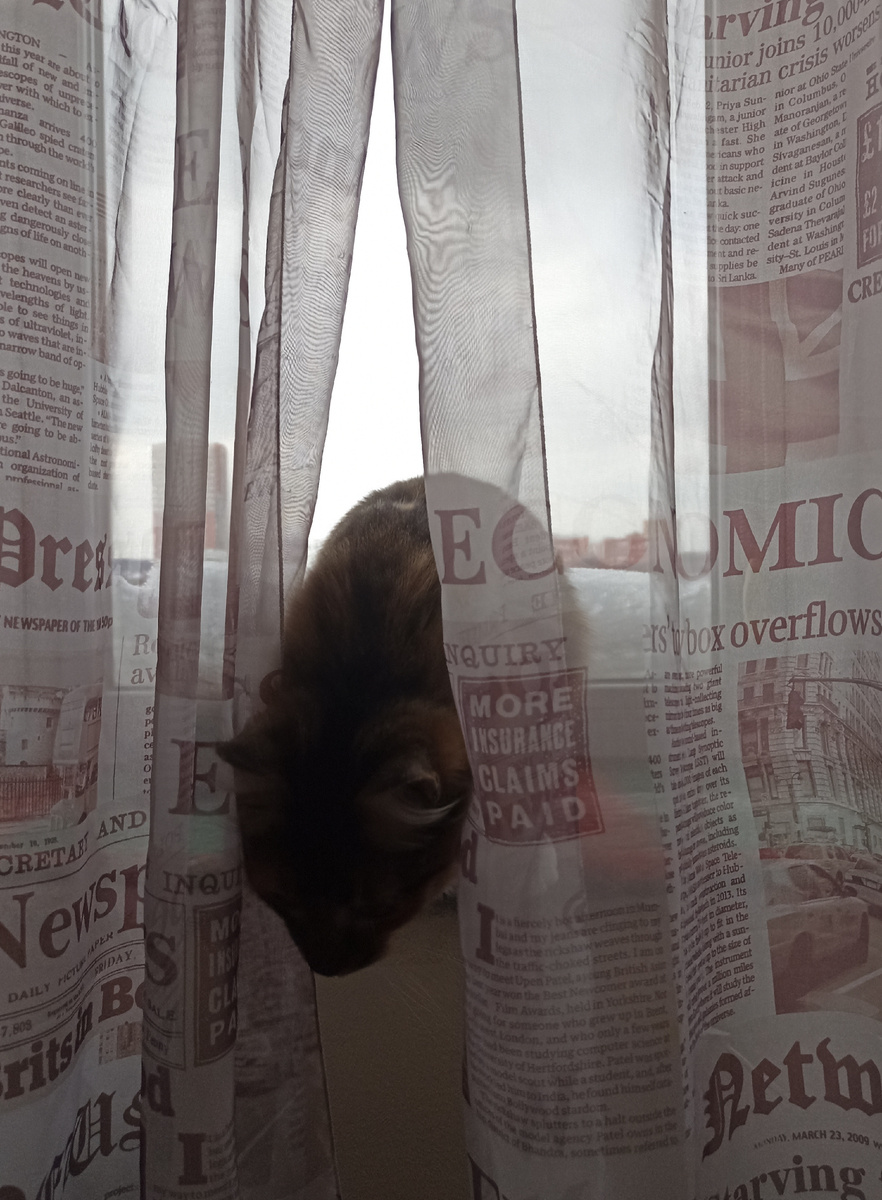 Вон позади Таси сугроб какой на подоконнике намело! 