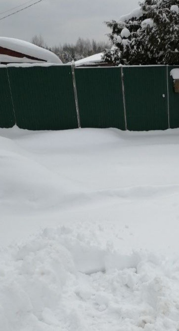 Фото от мужа