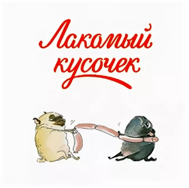 изображение из интернета 