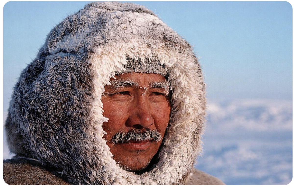 Фото взято из открытого источника 