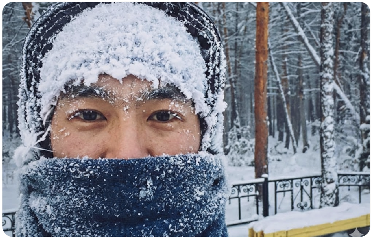 Фото взято из открытого источника 