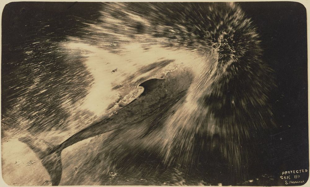 Редкая фотография Пелоруса Джека, сделанная Эдгаром Уориком.