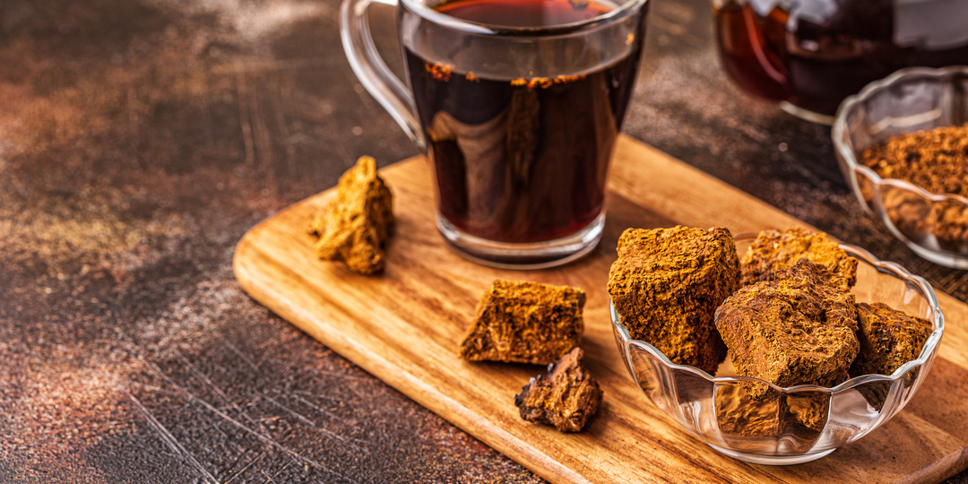 Чага, сарана и папоротник-орляк: неочевидные дары русской тайги