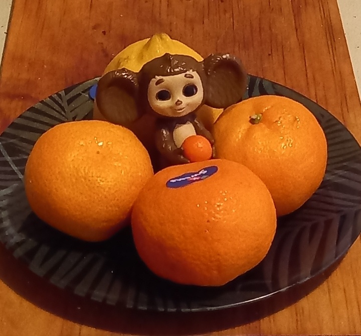 Современный Чебурашка// фото автора 