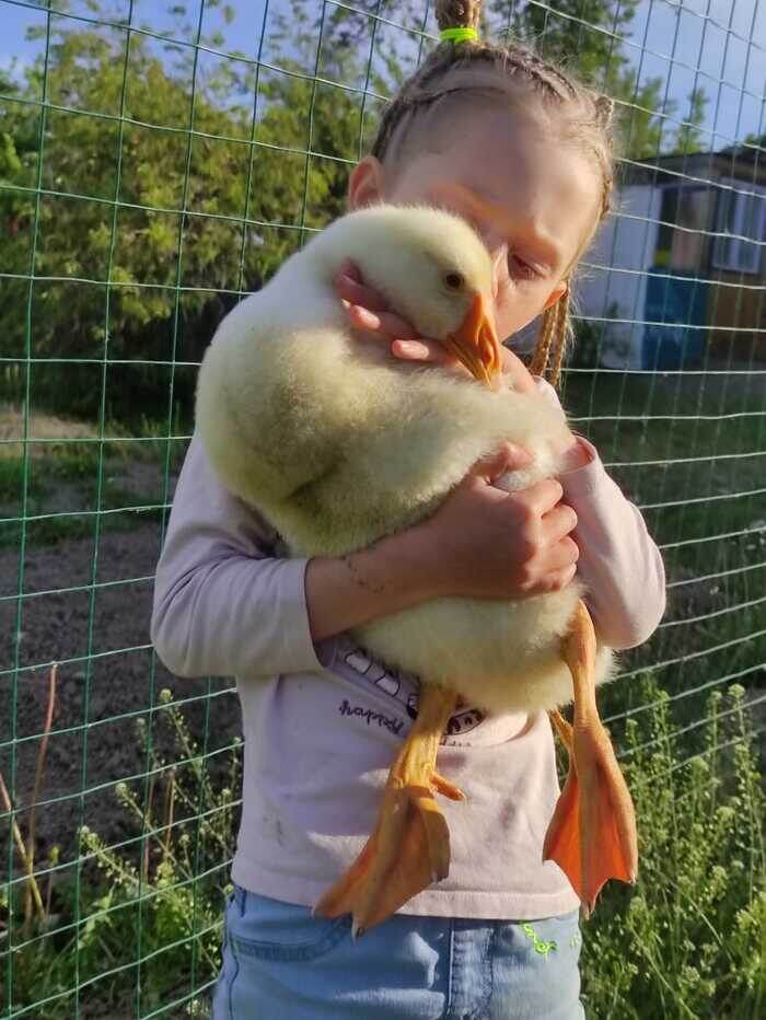 А это уже месячный)