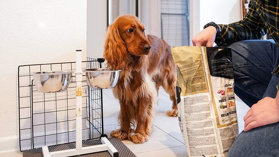    Фото: ИЗВЕСТИЯ/Сергей Лантюхов