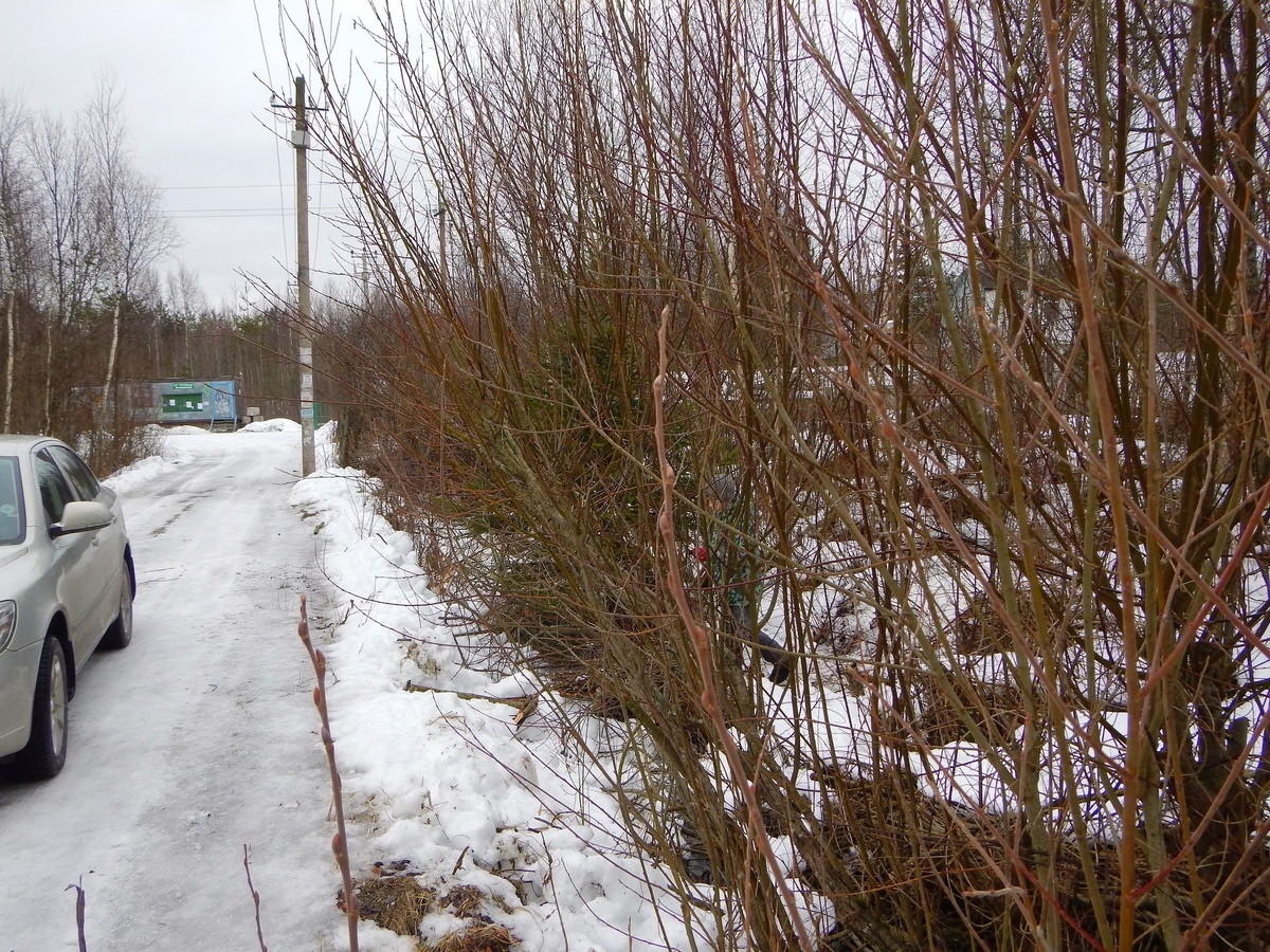 Участок со стороны дороги