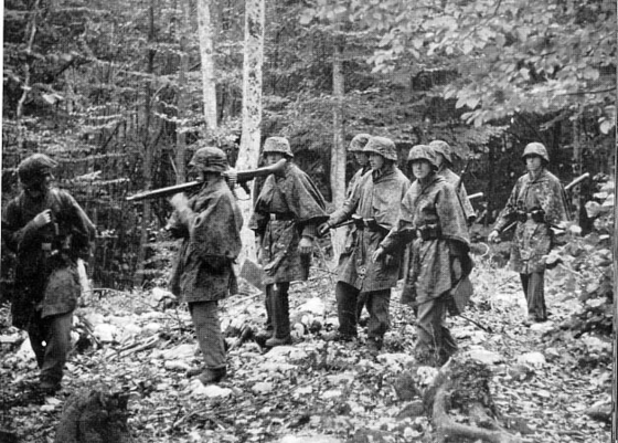 Русский лес, где немцы пропадали регулярно