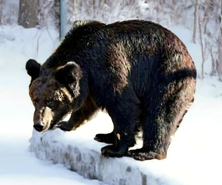    Фото:Виктория Андреева