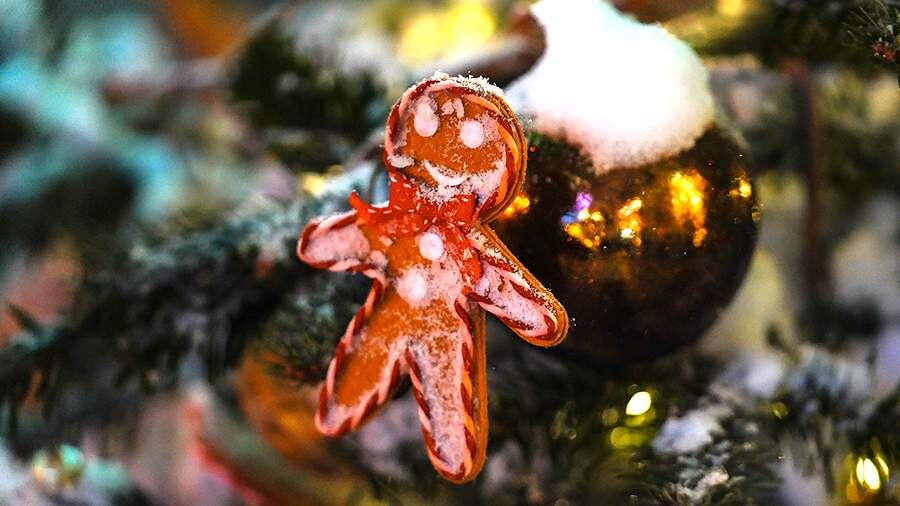    Фото: ИЗВЕСТИЯ/Анна Селина