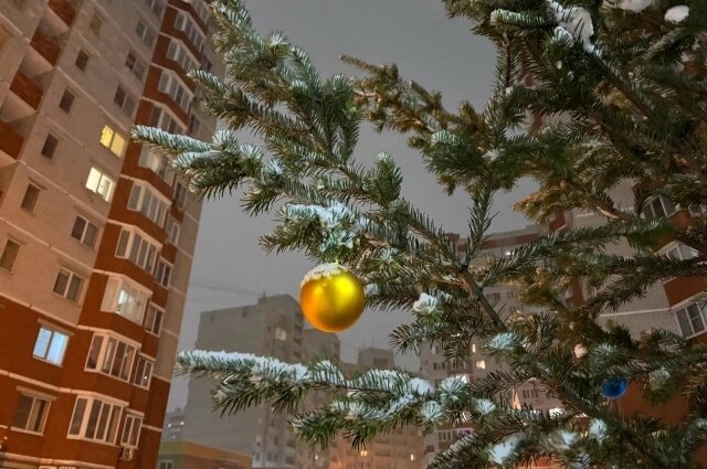    Фото: АиФ/ Юлия Францова