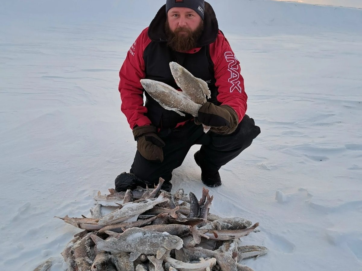    Количество пойманной рыбы исчисляется десятками